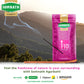 I-10 Agarbatti | Premium Incense Sticks.